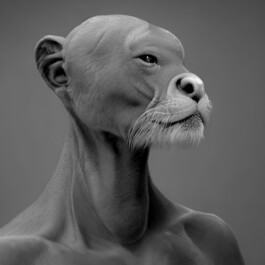 linos ullmann